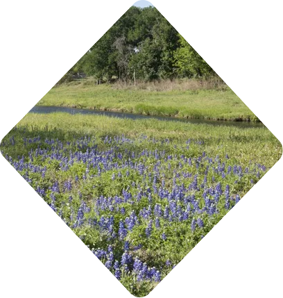 South Austin: